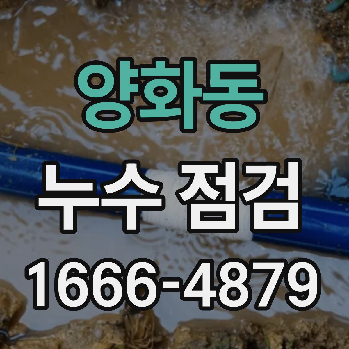 양화동 누수 점검