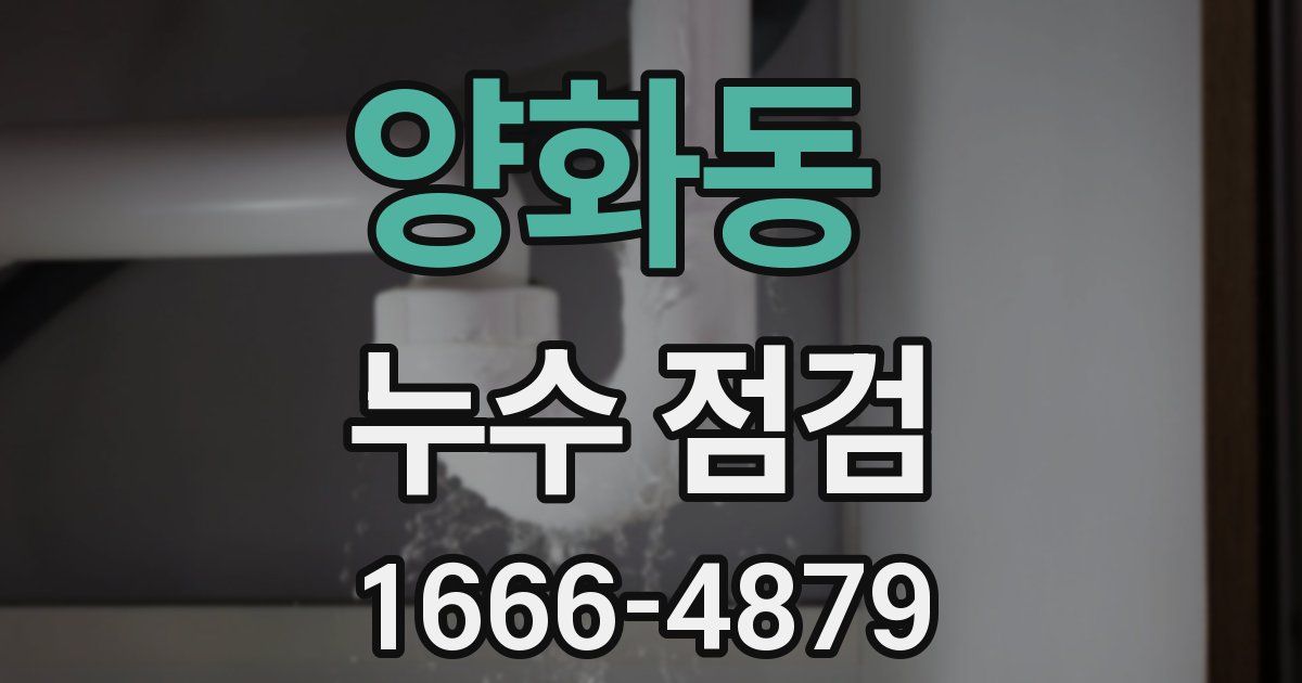 양화동 누수 점검