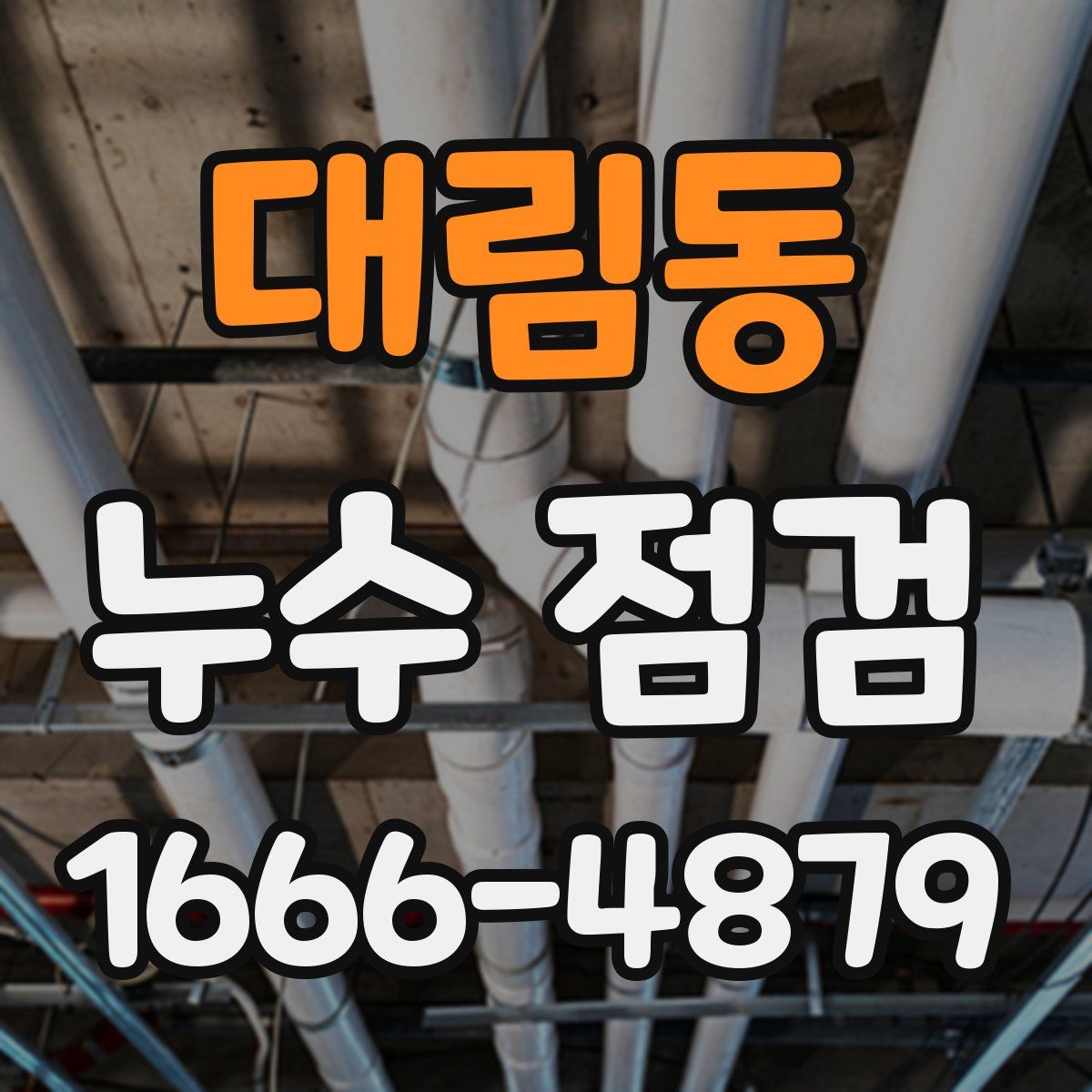 대림동 누수 점검