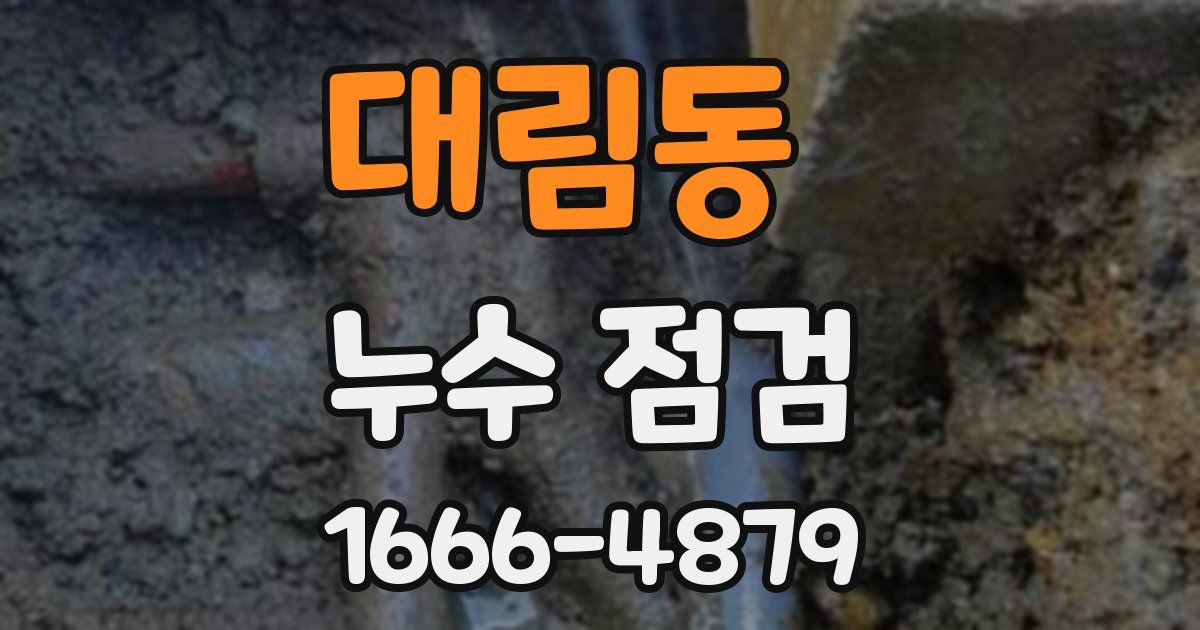 대림동 누수 점검
