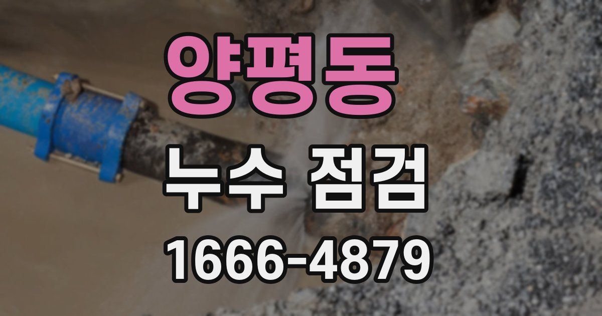 양평동 누수 점검