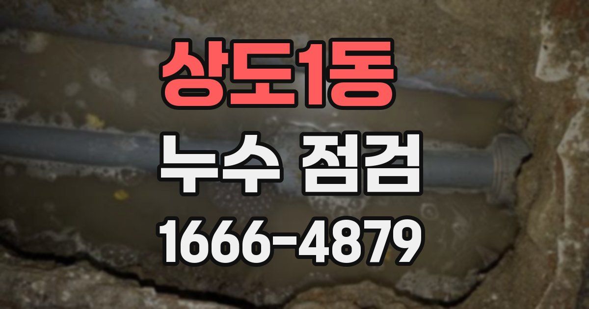 상도1동 누수 점검