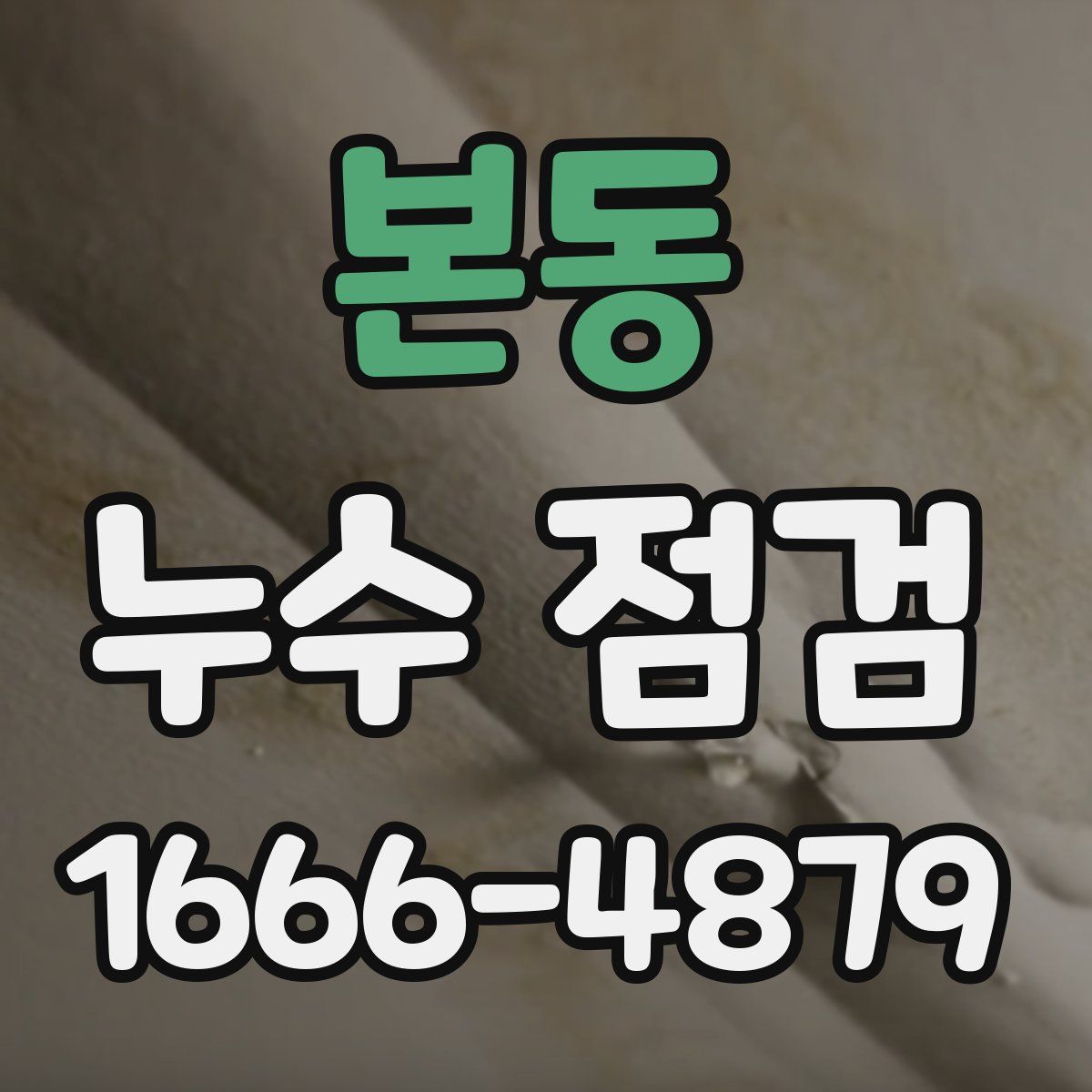 본동 누수 점검
