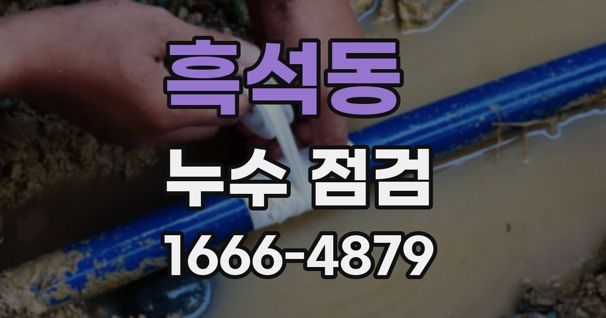 흑석동 누수 점검