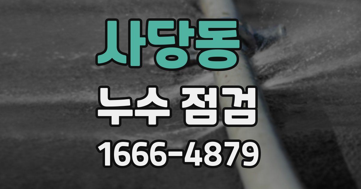사당동 누수 점검