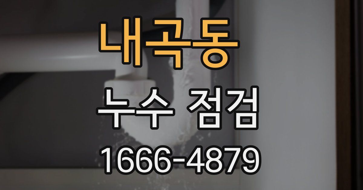 내곡동 누수 점검