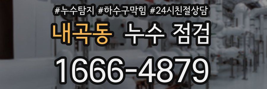 내곡동 누수 점검