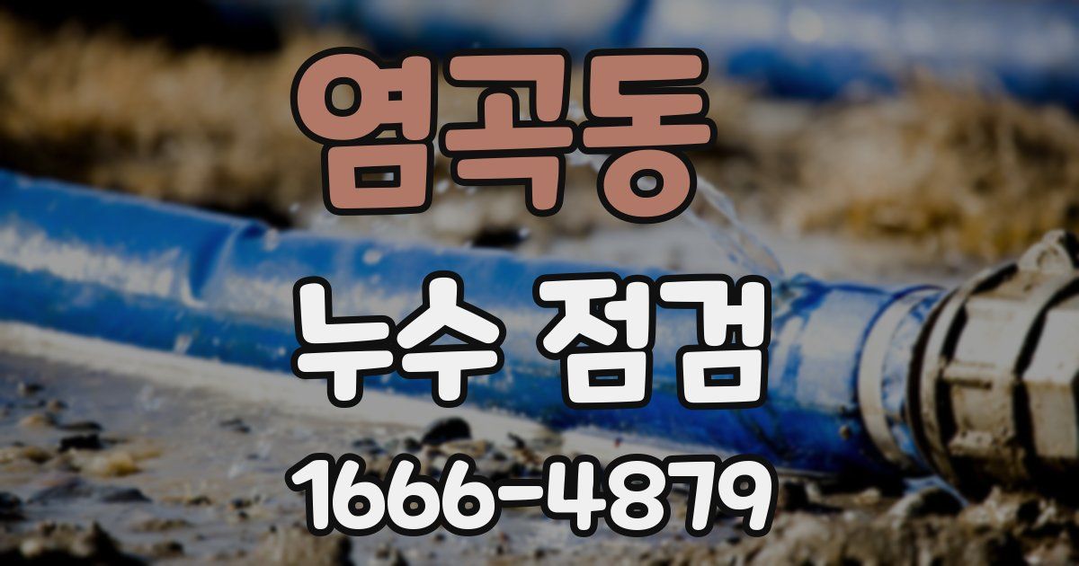 염곡동 누수 점검