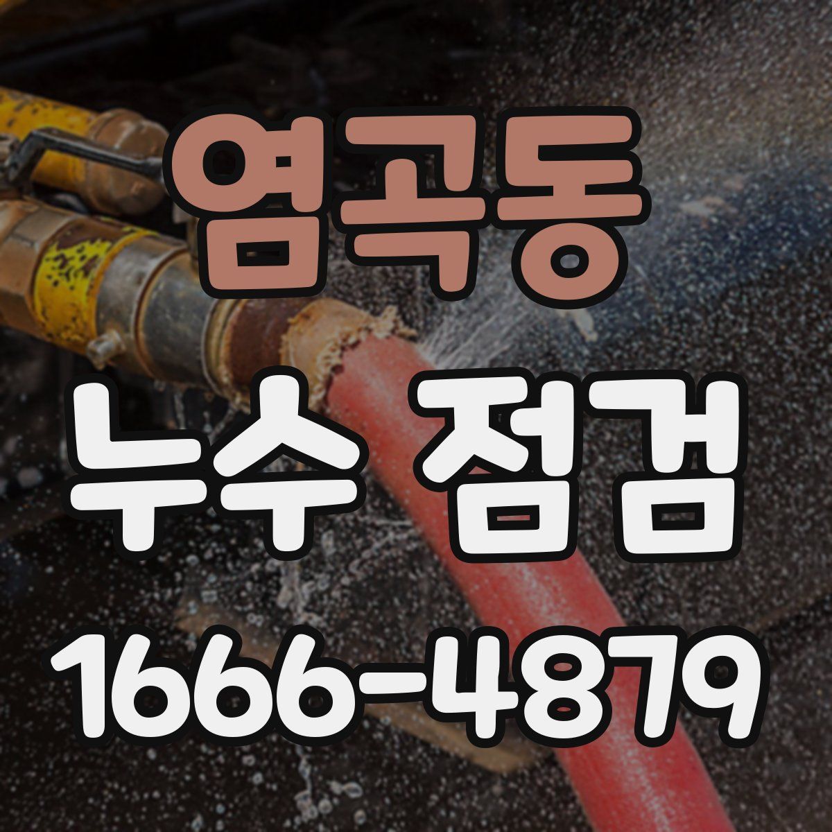 염곡동 누수 점검