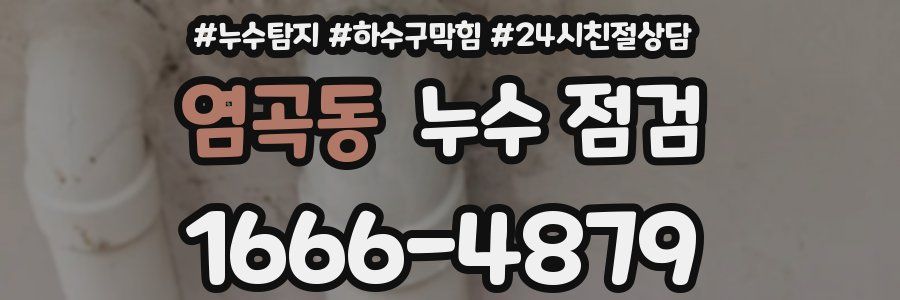 염곡동 누수 점검