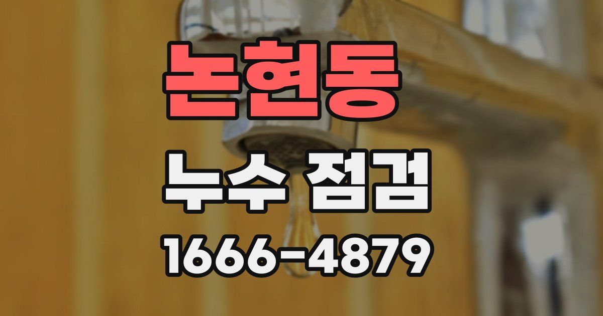 논현동 누수 점검