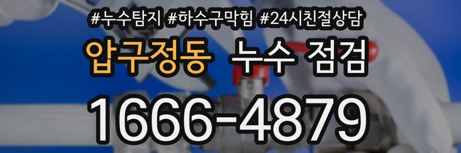 압구정동 누수 점검