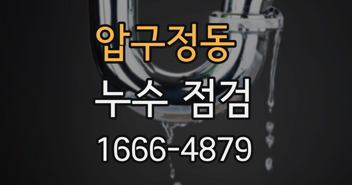압구정동 누수 점검