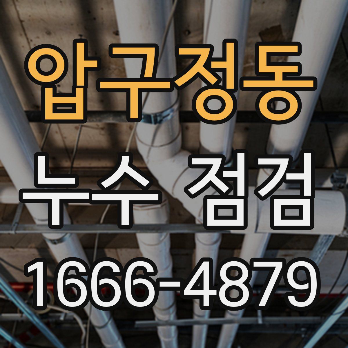 압구정동 누수 점검