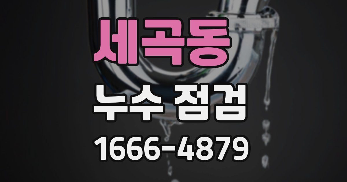세곡동 누수 점검