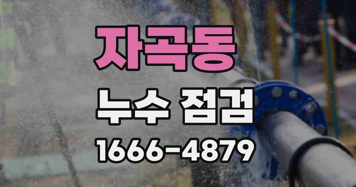 자곡동 누수 점검
