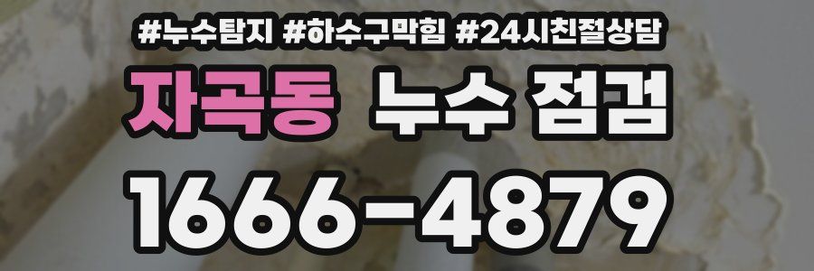 자곡동 누수 점검