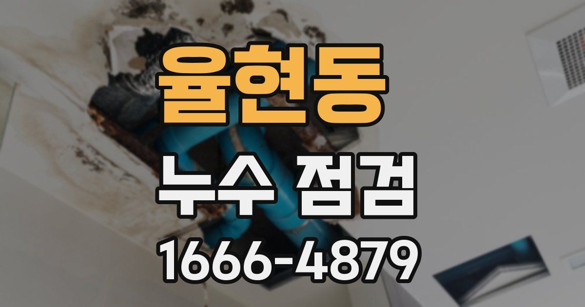 율현동 누수 점검