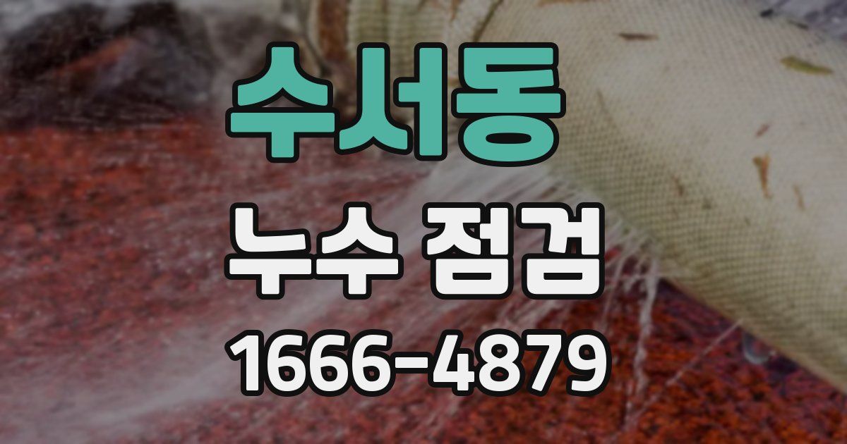 수서동 누수 점검
