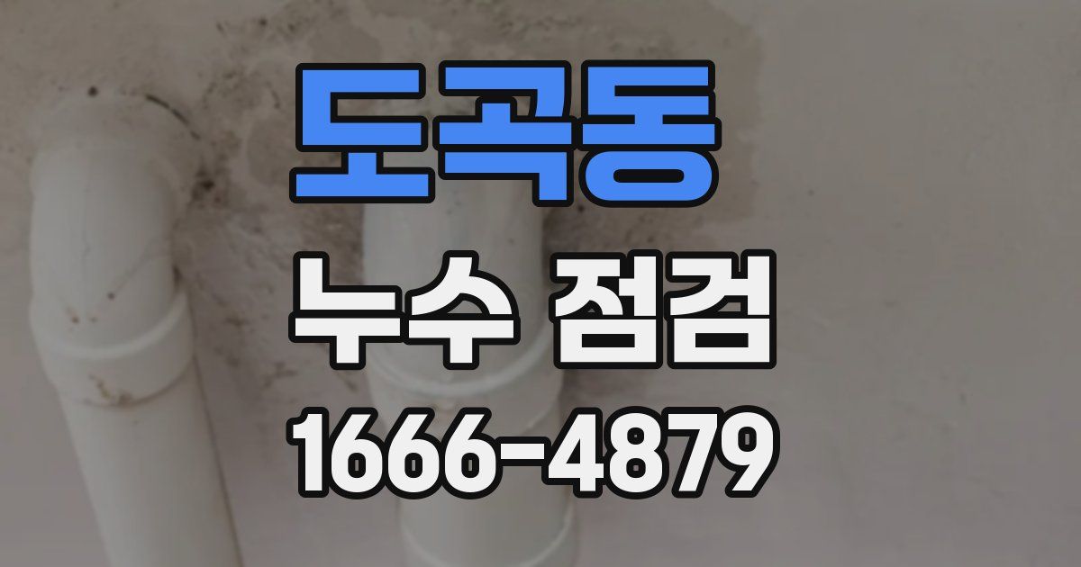 도곡동 누수 점검