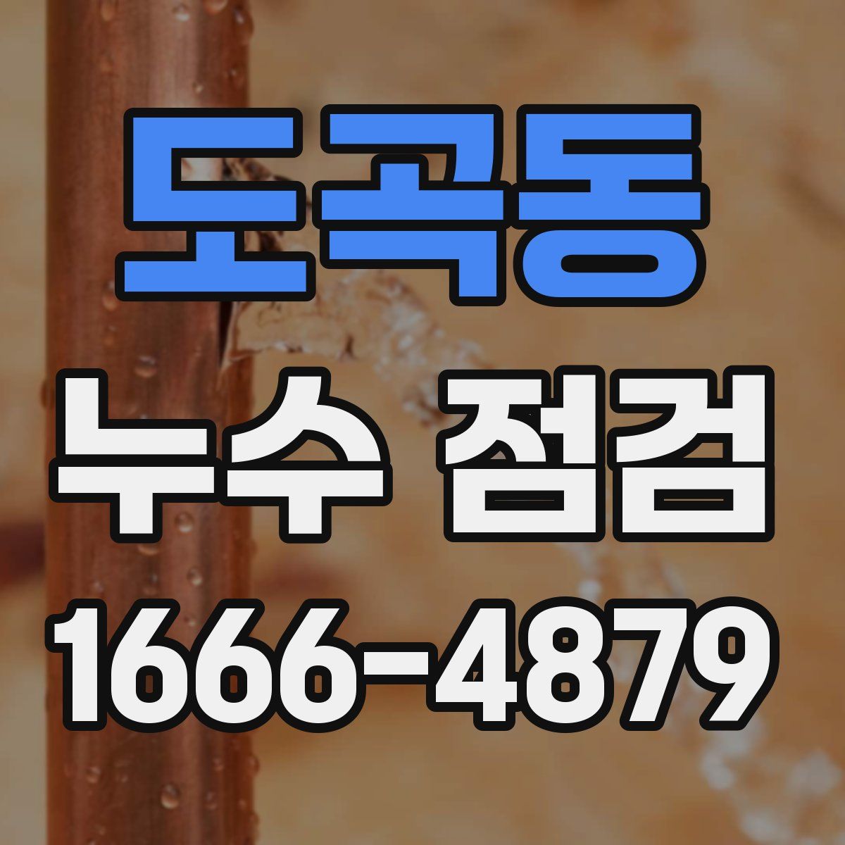도곡동 누수 점검