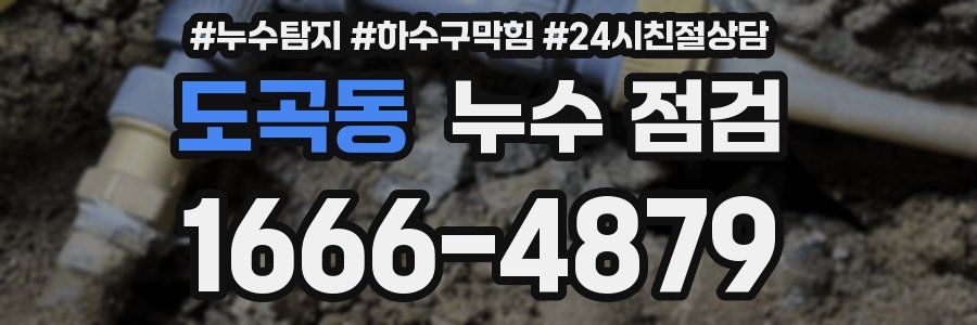 도곡동 누수 점검