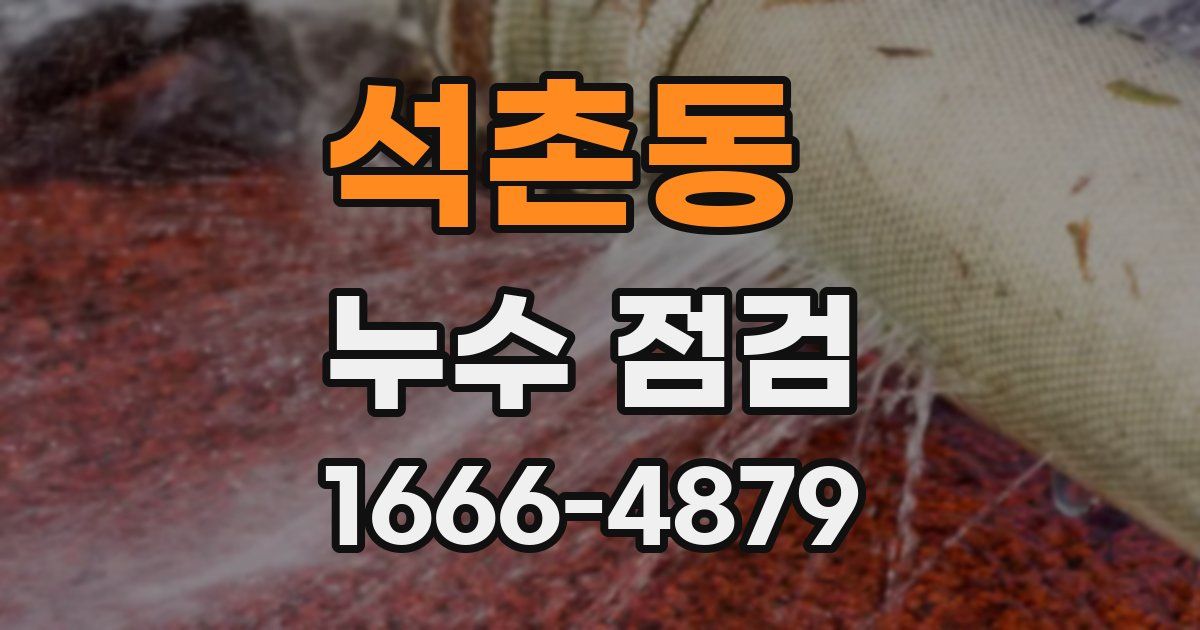 석촌동 누수 점검