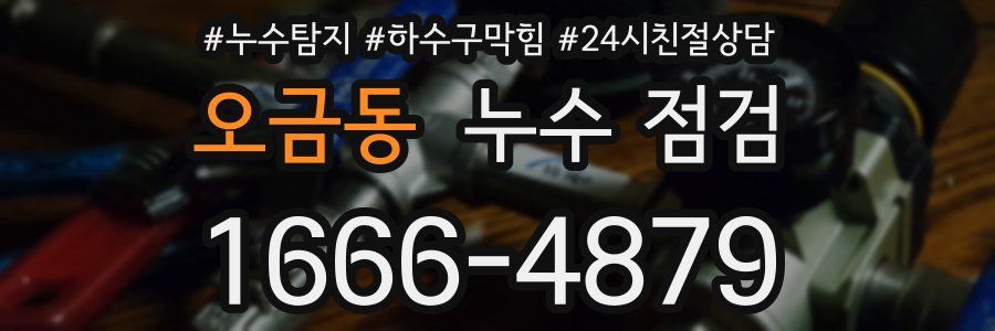 오금동 누수 점검