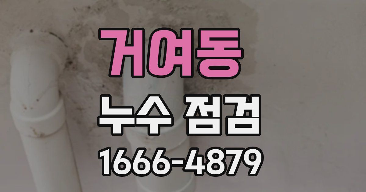 거여동 누수 점검