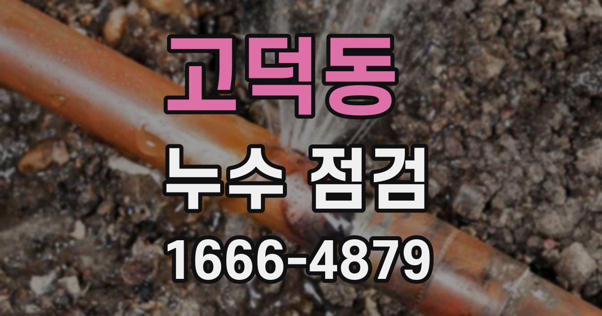 고덕동 누수 점검