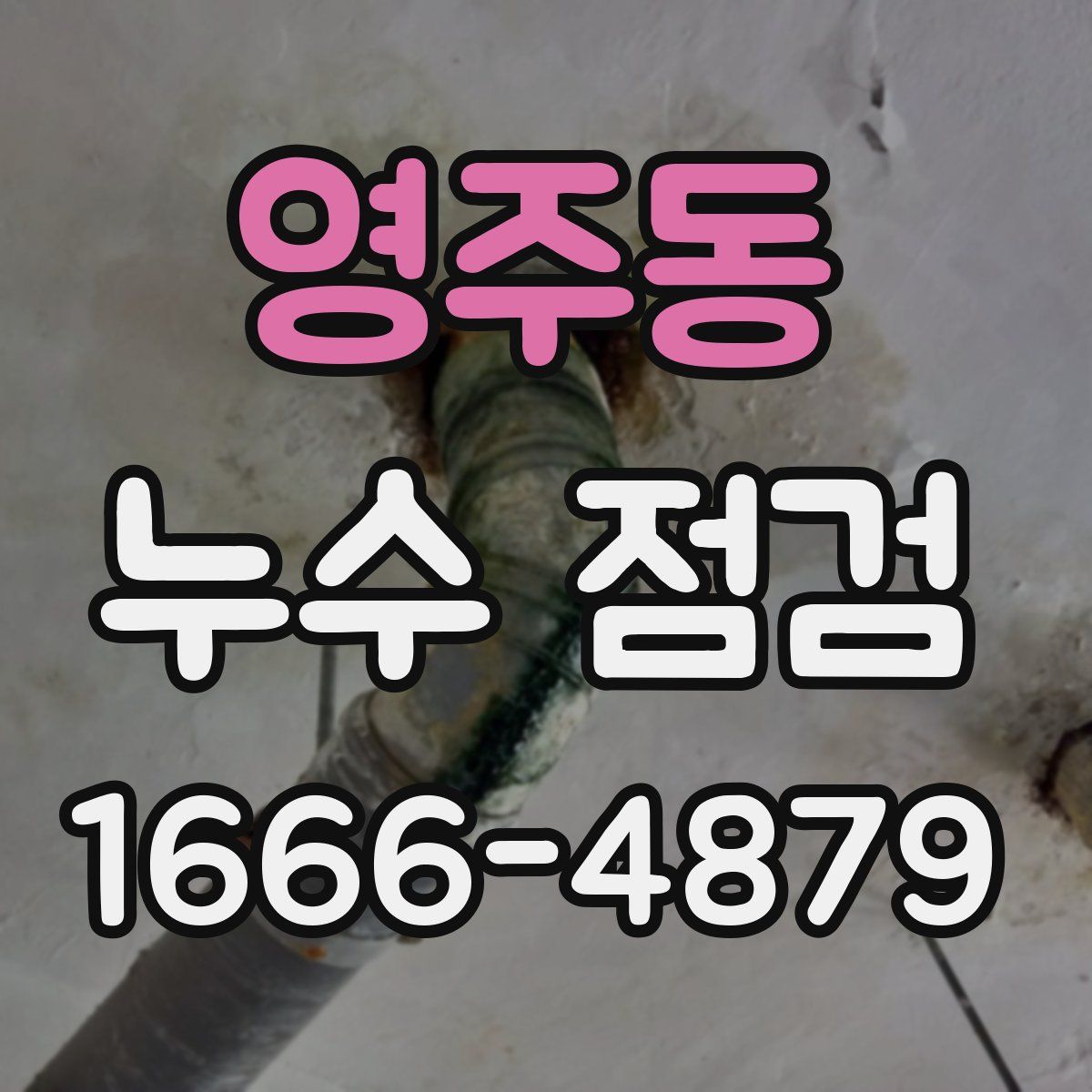 영주동 누수 점검