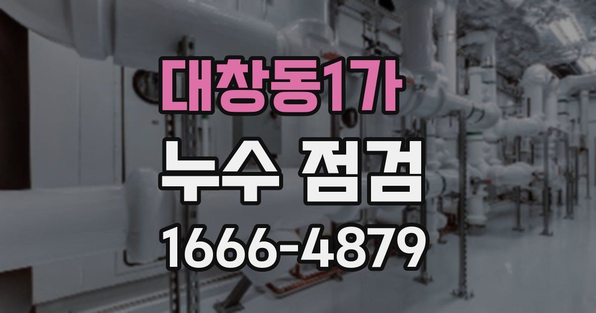 대창동1가 누수 점검