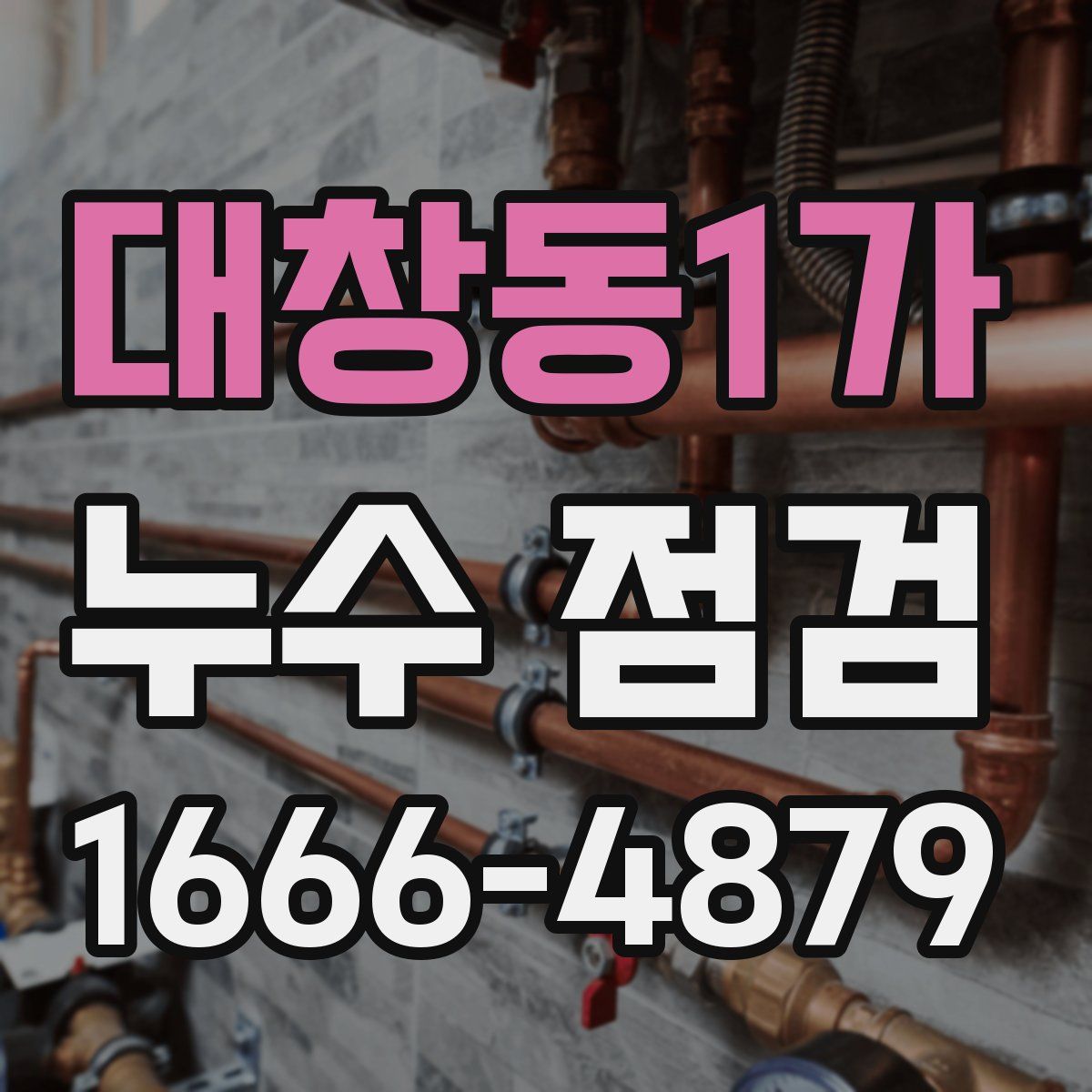 대창동1가 누수 점검