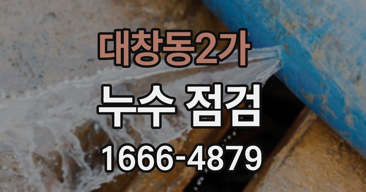 대창동2가 누수 점검