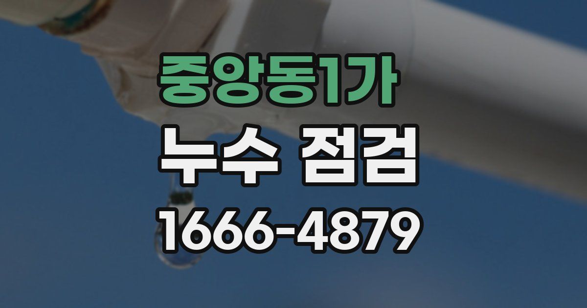 중앙동1가 누수 점검