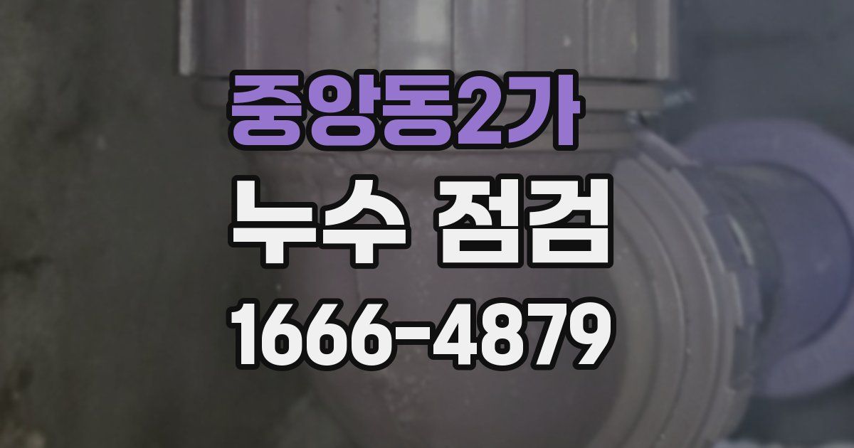 중앙동2가 누수 점검