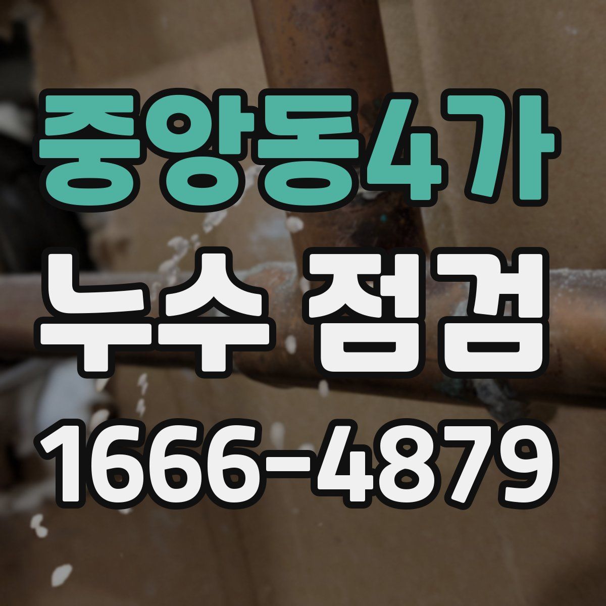 중앙동4가 누수 점검