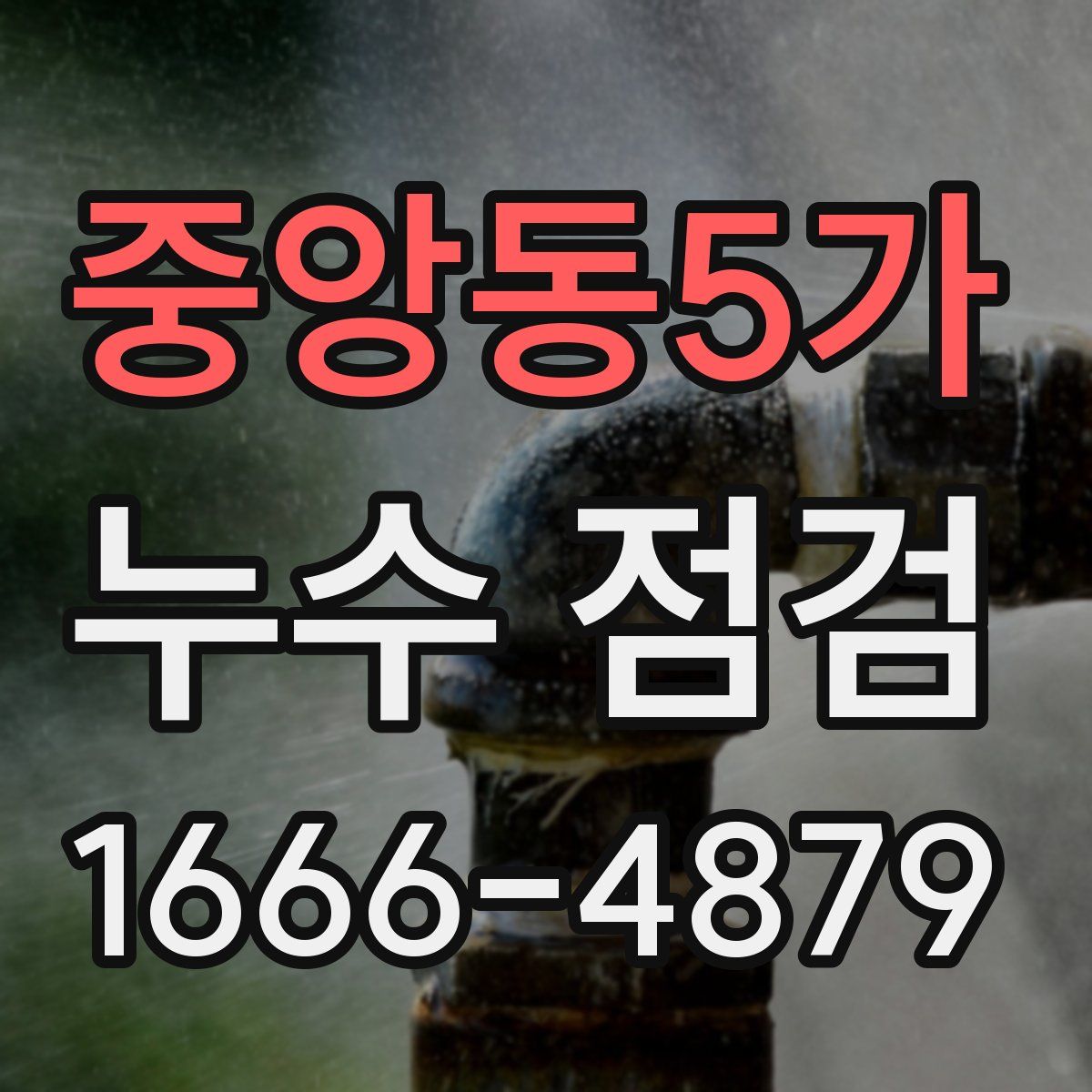 중앙동5가 누수 점검