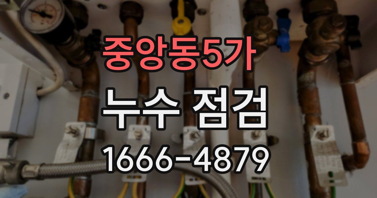 중앙동5가 누수 점검