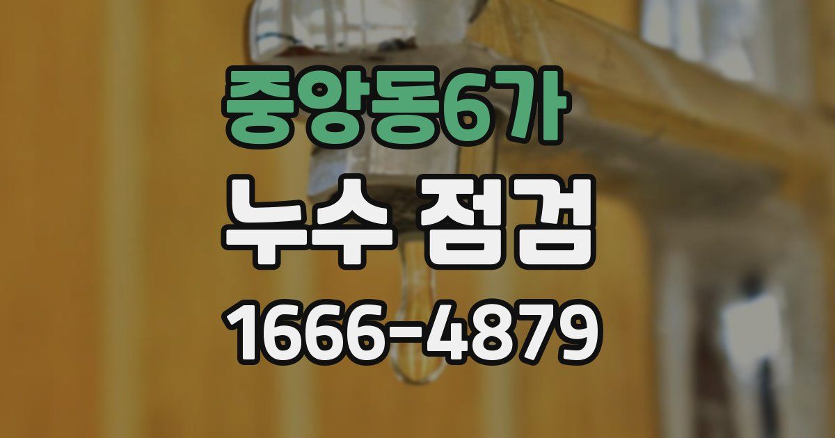 중앙동6가 누수 점검