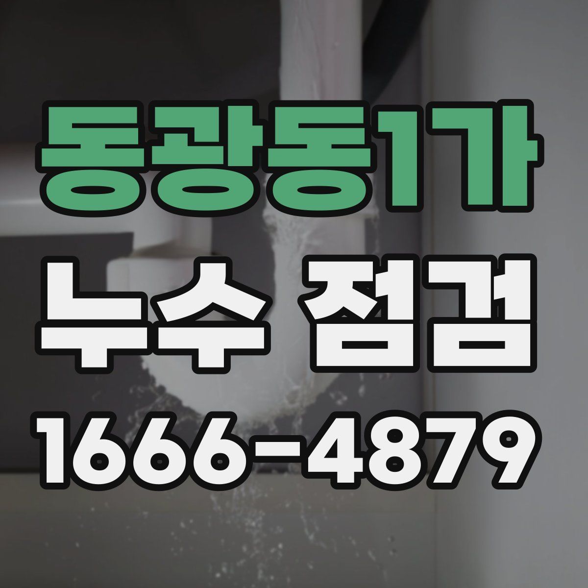 동광동1가 누수 점검