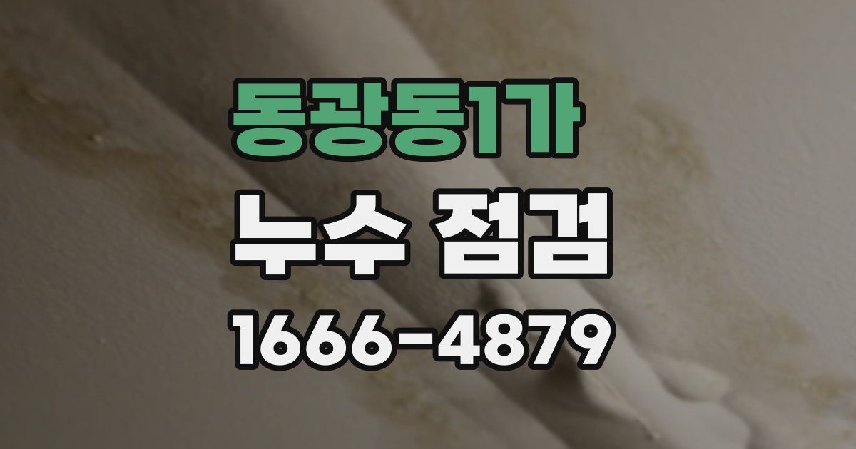 동광동1가 누수 점검