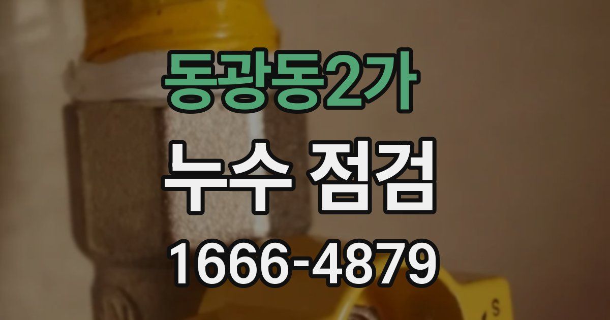 동광동2가 누수 점검