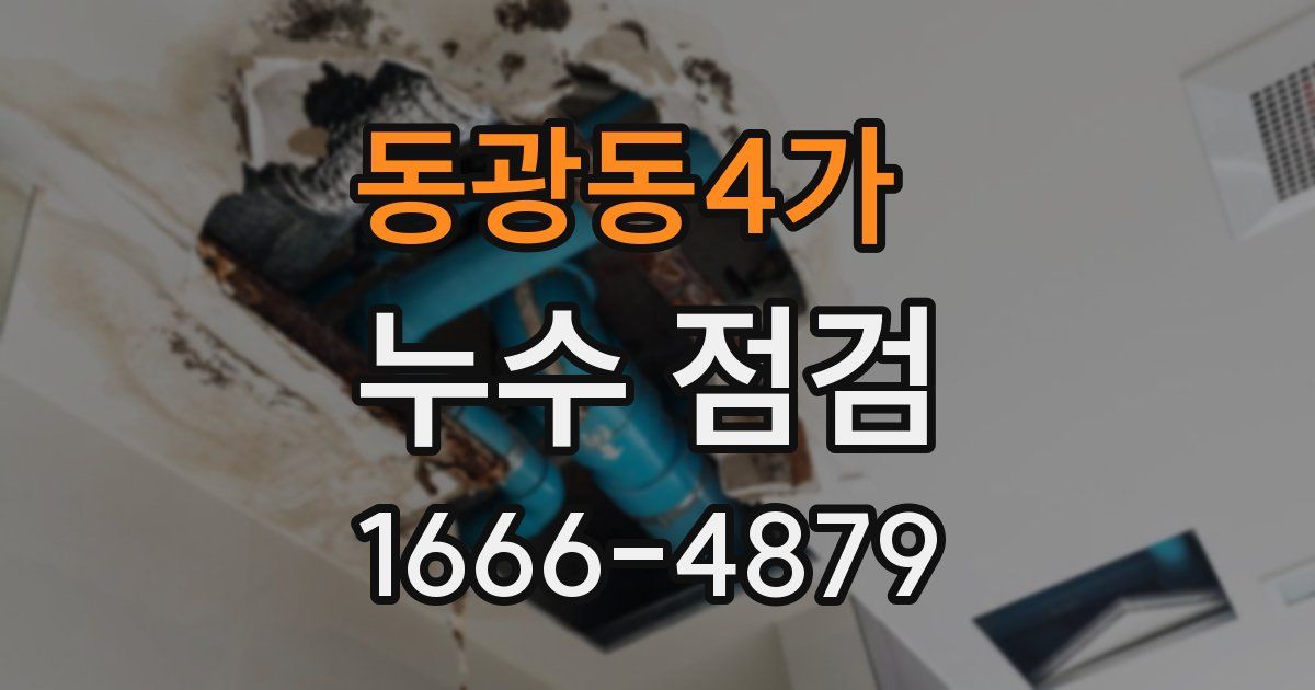 동광동4가 누수 점검