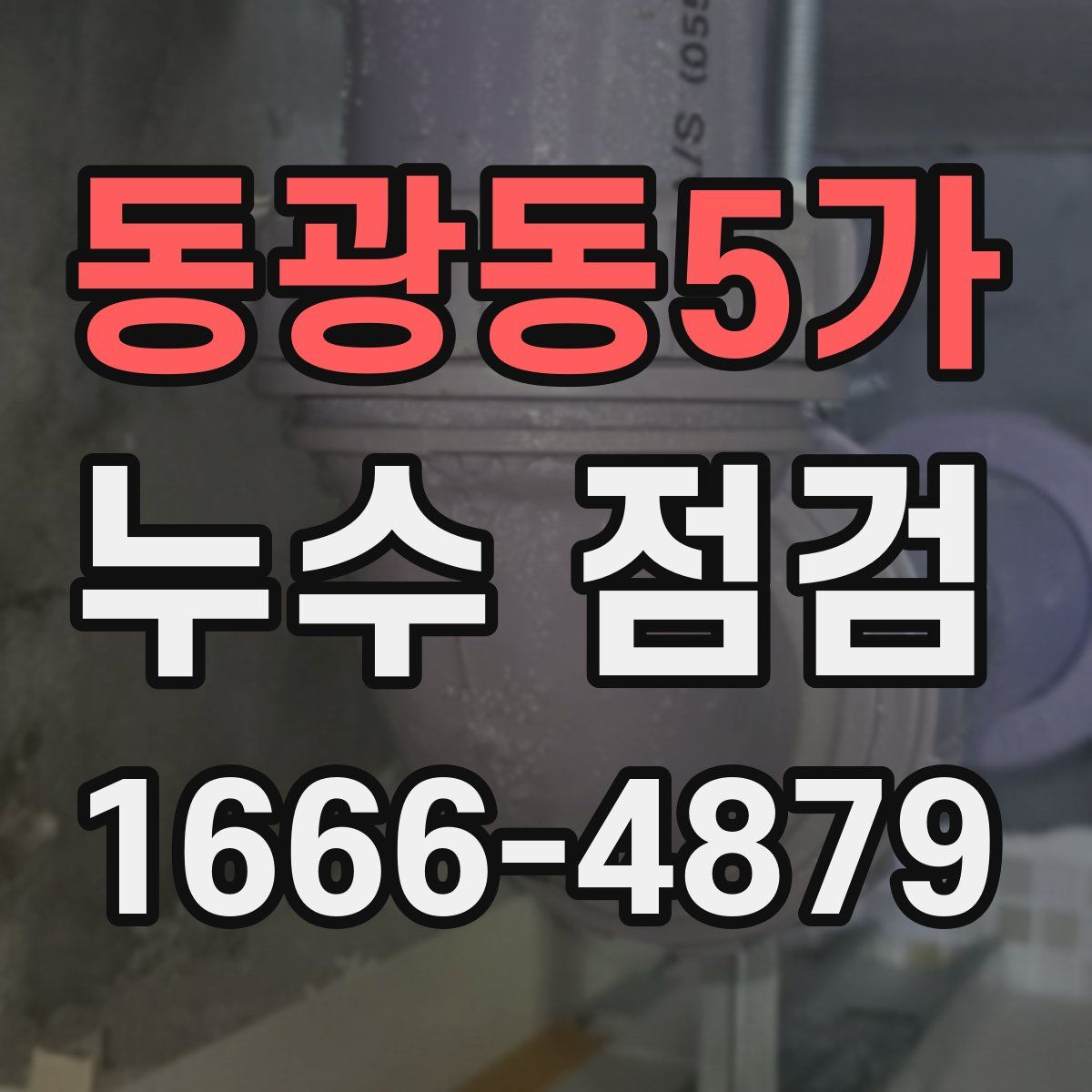 동광동5가 누수 점검