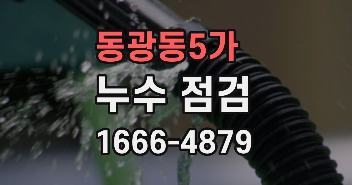 동광동5가 누수 점검