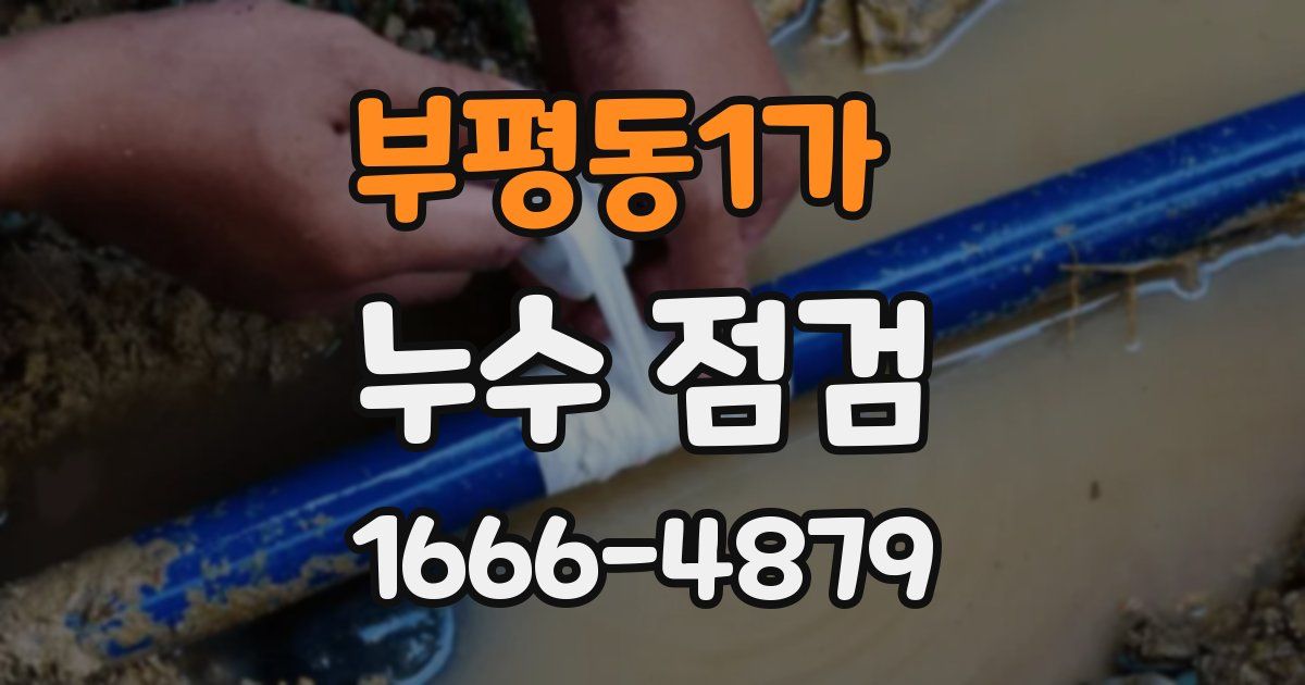 부평동1가 누수 점검