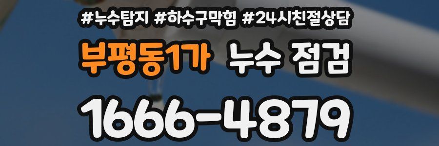 부평동1가 누수 점검
