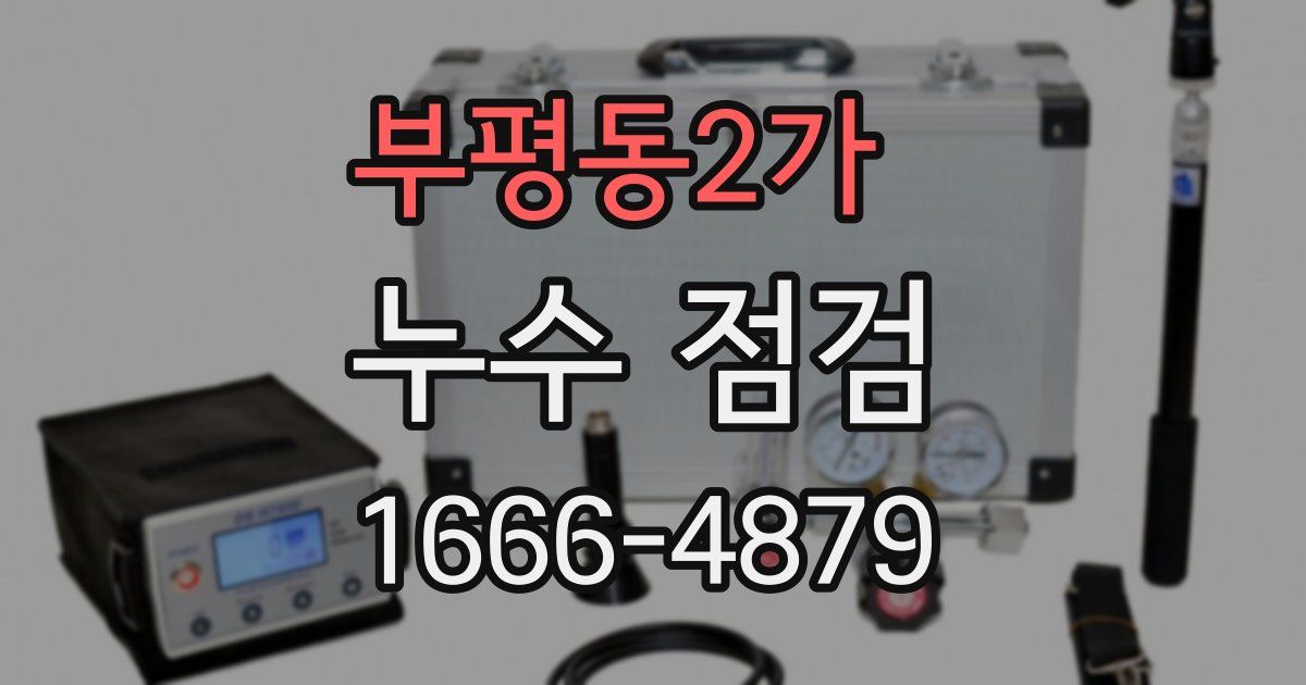 부평동2가 누수 점검