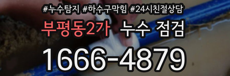 부평동2가 누수 점검